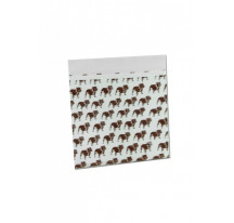 Pochons 40x60x0.06mm Par 100 - Sachets ZIP