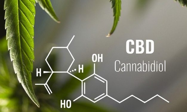 CBD : cannabidiol, qu&rsquo;est ce que c&rsquo;est ?