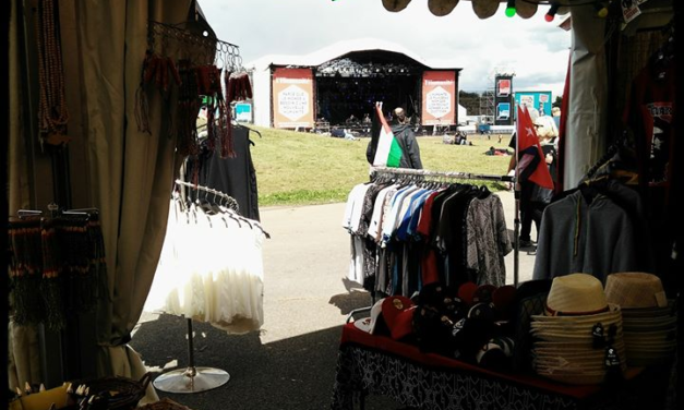 Le festival Reggae Summer Vibration : une valeur sûre